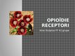Prezentācija 'Opioīdie receptori', 1.