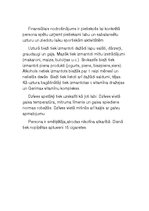 Prakses atskaite 'Personas anamnēze', 5.