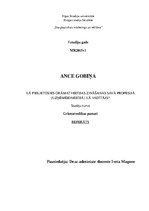 Referāts 'Grāmatvedības zināšanu pielietošana', 1.