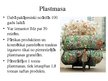Prezentācija 'Atkritumi kā viena no galvenajām vides problēmām', 21.