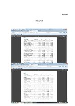 Prakses atskaite 'Kvalifikācijas prakses atskaite', 39.