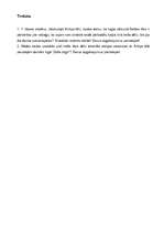 Konspekts '"Zelta zirgs", jautājumi bērnu grupām par lugu', 14.