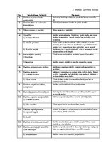 Prakses atskaite 'Novērošanas prakses atskaite', 40.