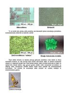 Referāts 'Mikroskopu darbības principi', 2.