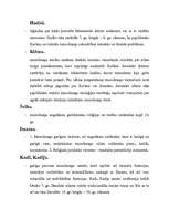 Konspekts 'Musulmaņu tiesību vēsturiskā veidošanās', 7.