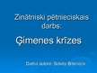 Prezentācija 'Ģimenes krīzes', 2.