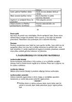 Referāts 'Prezentācijas māksla', 8.