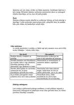 Referāts 'Prezentācijas māksla', 14.