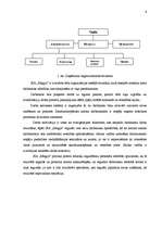 Biznesa plāns 'Frizētavas telpu remonta plāns', 6.