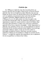 Konspekts 'Svarīgākie mehānikas atklājumi senajos laikos', 7.