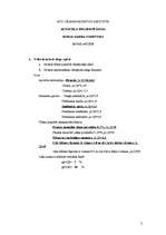 Konspekts 'Segas aplēse', 2.