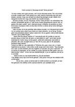 Eseja 'Ziedi un salna R.Blaumaņa novelē "Salna pavasarī"', 1.