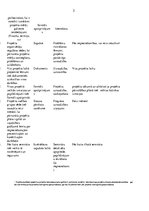 Konspekts 'Projekts personālvadības organizēšanas uzlabošanai', 3.