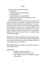 Referāts 'Ekoloģisko dzīvojamo māju būvniecības pamatprincipi', 3.