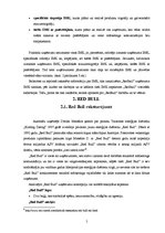 Referāts 'Uzņēmuma "Red Bull" un integrētas mārketinga komunikācijas mijiedarbības aspekti', 5.