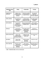 Referāts 'Uzņēmuma "Red Bull" un integrētas mārketinga komunikācijas mijiedarbības aspekti', 24.