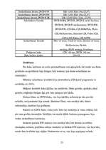 Referāts 'Rakstošie DVD', 23.