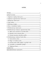 Referāts 'Uzņēmuma AS "UPB" struktūras optimizācijas plāns', 2.