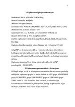 Referāts 'Uzņēmuma AS "UPB" struktūras optimizācijas plāns', 5.