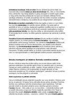 Konspekts 'Etrusku vēsture, kultūra, mitoloģija, sabiedrība un kultūras mantojums', 15.