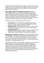 Konspekts 'Etrusku vēsture, kultūra, mitoloģija, sabiedrība un kultūras mantojums', 18.