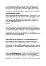 Konspekts 'Etrusku vēsture, kultūra, mitoloģija, sabiedrība un kultūras mantojums', 35.