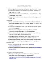 Referāts 'Līzinga līgums', 10.