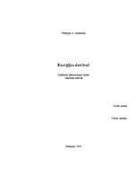 Referāts 'Enerģijas dzērieni', 1.