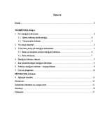 Referāts 'Enerģijas dzērieni', 2.