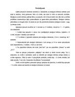 Referāts 'Enerģijas dzērieni', 13.