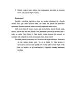 Referāts 'Saldus Svētā Jāņa baznīca', 8.