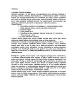 Konspekts 'Karjeras loma cilvēka pašattīstības procesā', 4.