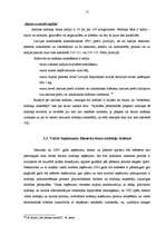 Referāts 'Nodokļu sistēma Latvijā', 17.