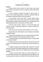 Referāts 'Nodokļu sistēma Latvijā', 34.