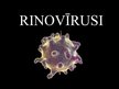 Prezentācija 'Rinovīrusi', 1.