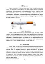 Referāts 'Cigarešu un ūdenspīpes ietekme uz cilvēka organismu', 6.