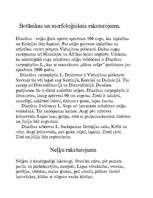 Referāts 'Neļķes', 2.