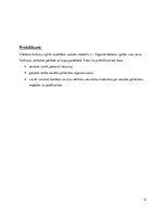 Prakses atskaite 'Sociālās palīdzības organizators', 31.