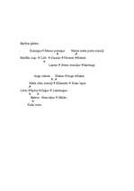 Referāts 'Sila biocenoze', 5.