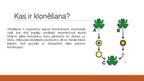 Prezentācija 'Klonēšana', 3.