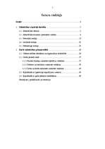 Referāts 'Atskaite par praksi uzņēmumā', 2.