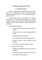 Referāts 'Atskaite par praksi uzņēmumā', 4.