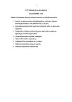 Referāts 'Atskaite par praksi uzņēmumā', 7.