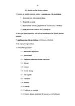 Referāts 'Atskaite par praksi uzņēmumā', 10.