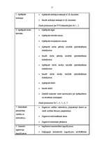 Referāts 'Atskaite par praksi uzņēmumā', 17.