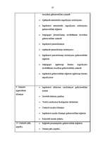 Referāts 'Atskaite par praksi uzņēmumā', 18.