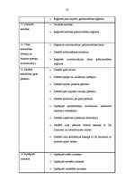 Referāts 'Atskaite par praksi uzņēmumā', 19.