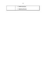 Referāts 'Atskaite par praksi uzņēmumā', 20.