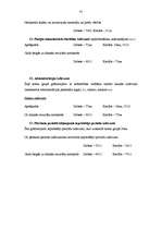 Referāts 'Atskaite par praksi uzņēmumā', 42.