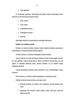 Referāts 'Atskaite par praksi uzņēmumā', 52.